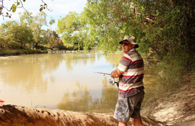 Safely fishing behind the tree trunk