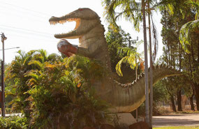 Day 4...Boxing Croc BIG Icon at Humpty Doo
