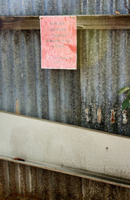 The 'Men's Urinal' at the Adelaide River cruise
