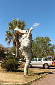 We stopped here for a look on our way to Darwin