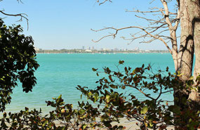 Looking to Darwin CBD from East Point