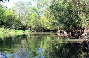 Sweet Lagoon in Litchfield National park