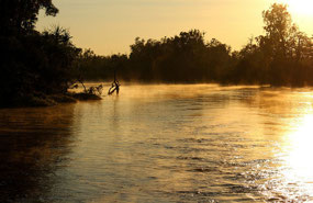 Sweet Lagoon within the Finnis river system