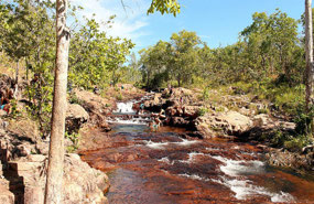 Bluey's Hole Litchfield National Park