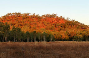 Sun setting on the hills at Hayes Creek Caravan Pk