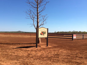 Watermelon farm on Oolloo raod