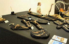'Banjo the Dinosaur' fossils