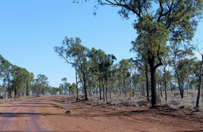 Developmental road from Charters Towers north