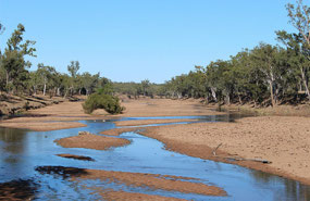 Fletchers Creek free camp spot