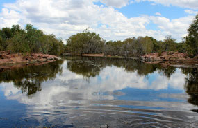 Elizabeth Creek Mt Surprise Qld