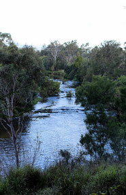 Barron River at the back of Riverside CP