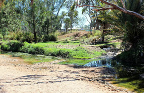 Innot Hot Springs Qld