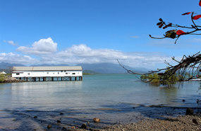 Port Douglas