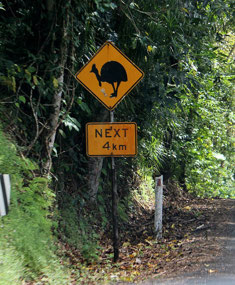And another Cassowary sign