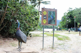 Concrete Cassowary at the Daintree River Crossing
