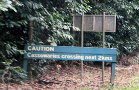 I decided to at least have a photo of a sign