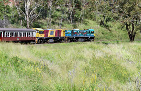 Kuranda train with snake painted on the engine