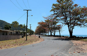 Beachfront at Flying Fish Point Qld