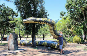 Concrete 'Carpet Snake' 60 metres long in Ayr