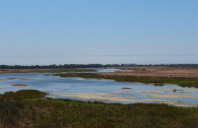 Crossing the mightly Burdekin River