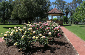 Jarratt Gardens on riverfront in Renmark