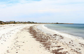 A bit of seaweed here at Arno Bay