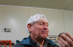 That oyster doesn't taste that bad Pete!