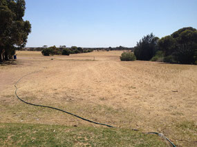 Hole No 1....Sand Green...485 metres