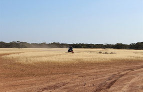 Eric mowing the fairway of Nullarbor Nymph Par 4