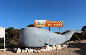 Eucla Roadhouse WA on Eyre Highway