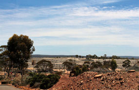 Beacon Lookout Norseman