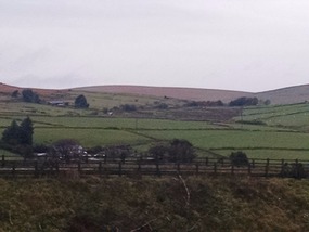 Bodmin Moor