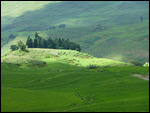 Yuanyang Rice Terraces
