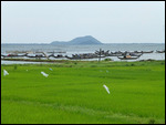 Highway 1A from Hue to Danang