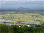 Rice fields surrounding Mandalay Hill