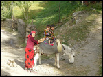 Life in the Fan Mountains