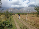 Mountain backdrop behind the trail