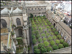 Patio de los Naranjos (Patio of Orange Trees) 