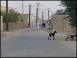 The town of Atar