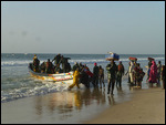Fishing boat being unloaded