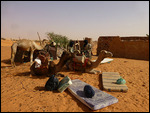 Camels being loaded for the trek