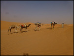 Riding out into the desert