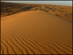On top of a sand dune in the Sahara