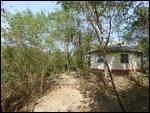 Rooms at Paradise Inn Lodge set amidst trees