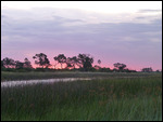 Sunset in the Okavango