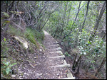 Section of Kranshoek Coastal Hiking Trail