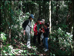 Consulting the field guide