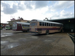 Belize City Bus Terminal
