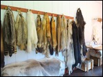 Pelts