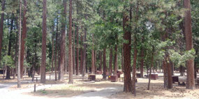 Empty Campground